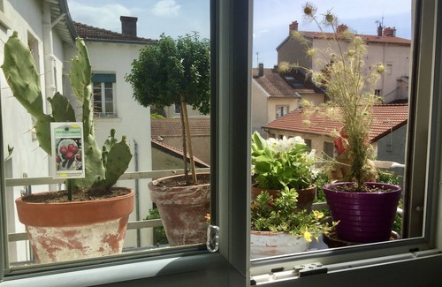 Croix Rousse Apartamento | Piso / apartamento - LYON