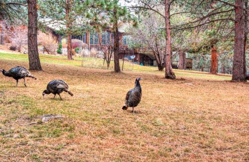 Blackhawk Casa | Crooked Canyon Lodge