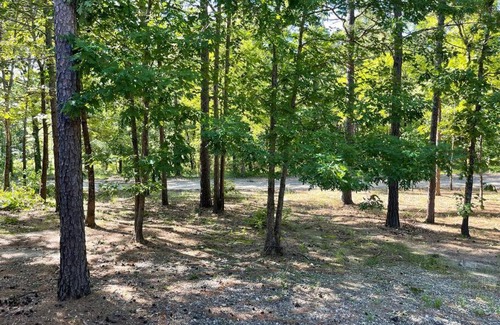 Pickens Casa | Cross Timbers Cabin on Private 12.5 Acres + Hot Tub