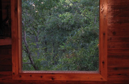 Canyon Creek Cabina | Cabina de nido de cuervo en Piper Lane