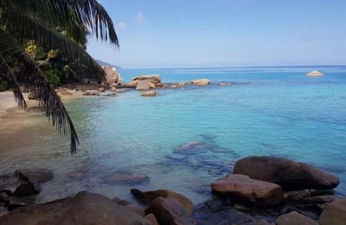 Glacis Apartamento | Crystal Apartments Seychelles SeaView Ground Floor