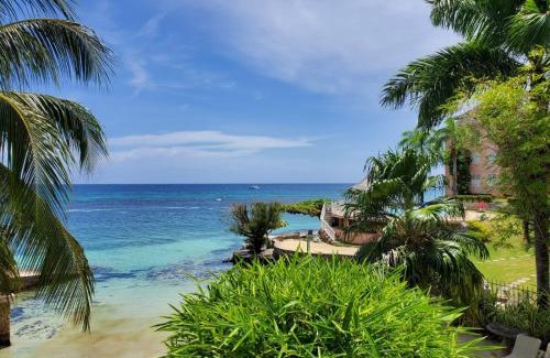 Crystal Cove Apartamento | Crystal Cove Oceanfront/2 bedroom Condo
