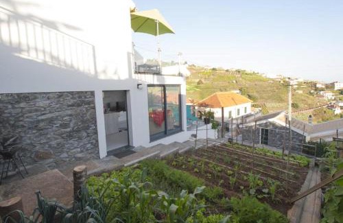 Lombo do Doutor Casa | Crystal House