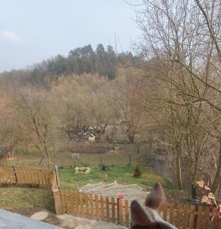 Nogradsap Casa | Csacsiország Vendégház