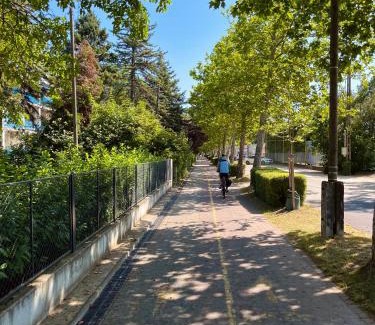 Csopak Apartamento | Csopartman