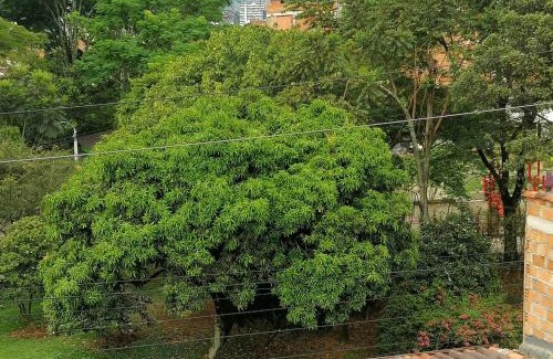 Guayabal Casa | Cuarto con cuarto de baño y terraza