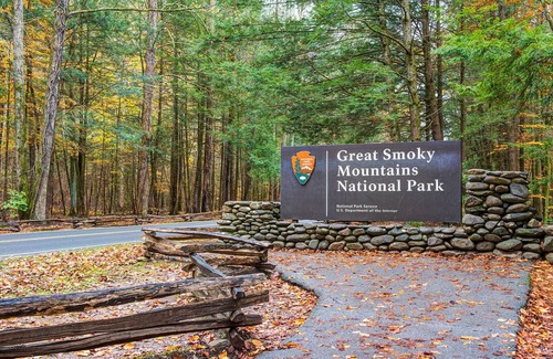Black Bear Falls Cabina | Cub's Corner