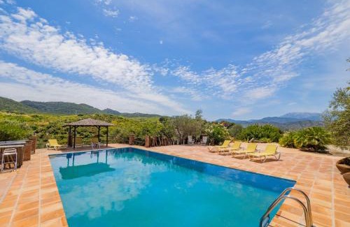 Coin Casa | Cubo's Coin Pure Nature High Privacy