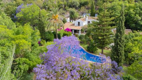 Coin Villa | Cubo's Villa Las Lagunas de Azahar High Privacy