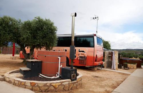 Chinchon Otro | cuchibus