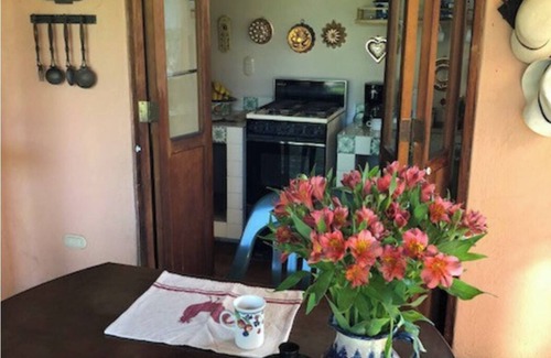 Tres de Mayo Casa | Cuernavaca's Hidden Gem: Adorable Bungalow with WiFi & Serene Garden Escape.
