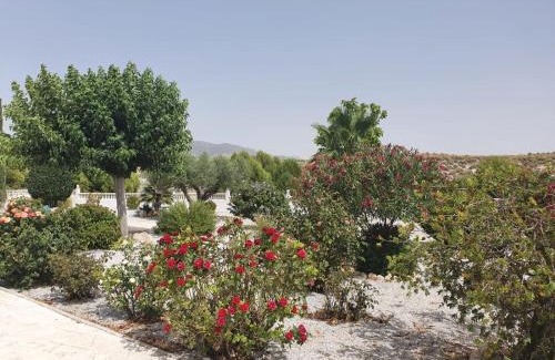 La Alqueria Casa | Cuevas Cañada Honda
