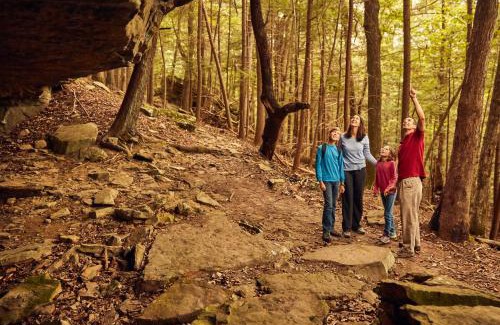Revelo Complejo | Cumberland Falls State Resort Park