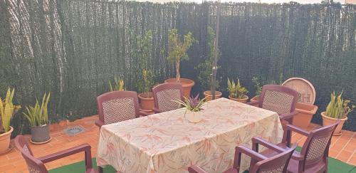 El Morche Apartamento | Cupido Beach El Morche, Patio, Costa, Mar y Playa