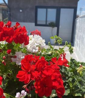 Monte Po-Nesima-San Leone-Rapisardi Apartamento | Curia Apartment