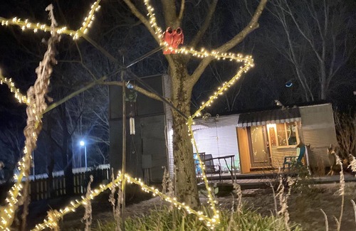 Pittsboro Casa | Curiously Cute B&B Private Woodshed- Pet friendly