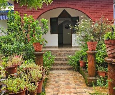 Anjuna Villa | CURLIES BLUE HOUSE