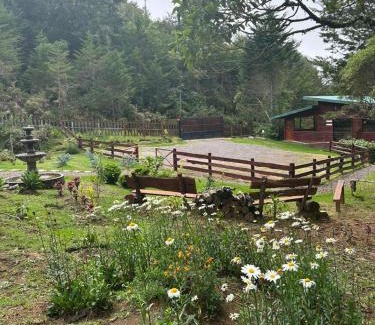 Canton Dota Cabina | Curuba Lodge