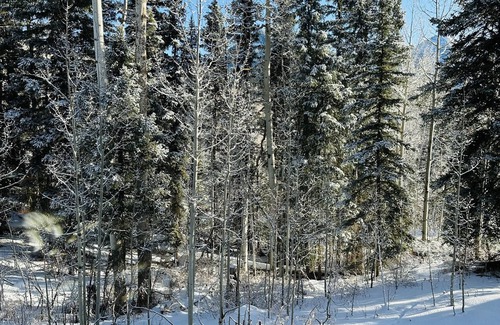 Purgatory Condominio | Custom Condo 1.5 miles North of Purgatory