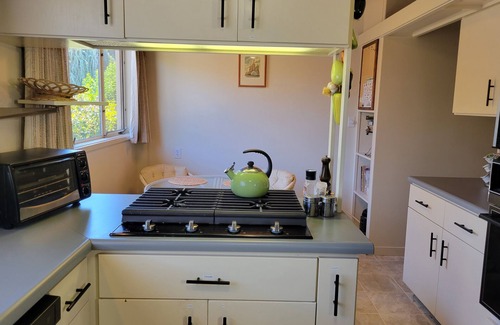 Ukiah Casa | Custom Redwood Mid-Century Modern home on quiet street near downtown