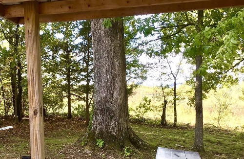 Columbia Cabina | Cute Custom Cabin in the woods