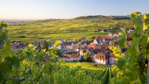 Munster Casa | Cute house in Alsace