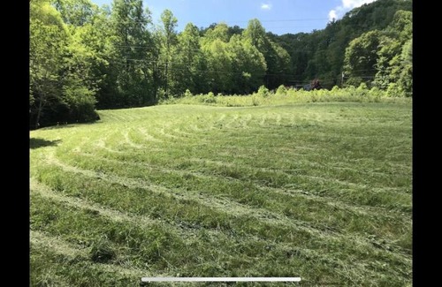 Topton Apartamento | Cute Little Cabin (Near the Nantahala River)