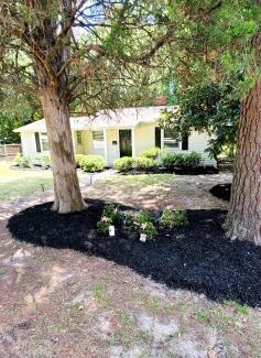 Rosewood Casa | Cute n' Comfy Capers