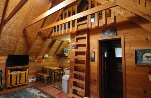 Helen Casa | Cute updated Mountain Cabin fireplace #3