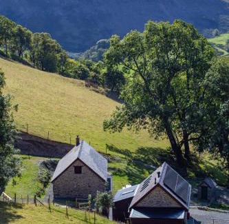 Rhayader Casa | Cwm Clyd - Carthouse
