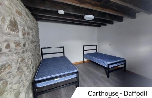 Rhayader Casa | Cwm Clyd - Carthouse