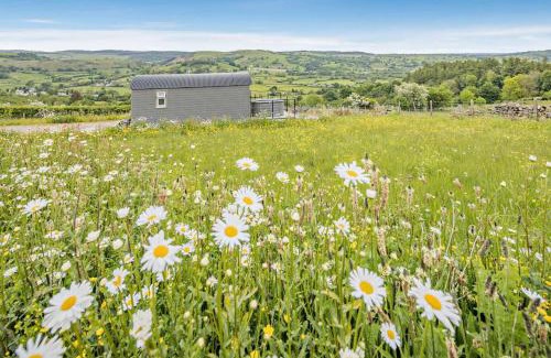 Llanfair Caereinion Casa | Cwt Eithin