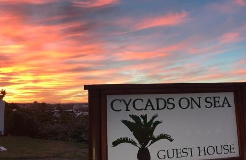 Saint Francis Bay Cama Y Desayuno | Cycads on Sea Guest House