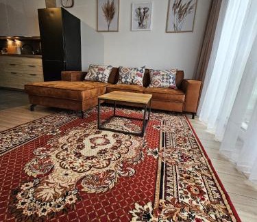 Czestochowa Apartamento | Czarny Słoń - elegancki apartament z klimatem