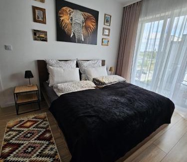 Czestochowa Apartamento | Czarny Słoń - elegancki apartament z klimatem