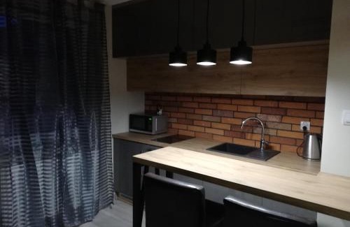 Zielona Gora Apartamento | Czerwona Cegła Apartament