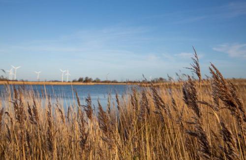 Wangerland Casa | Dänisches Blockhaus direkt am Wangermeer