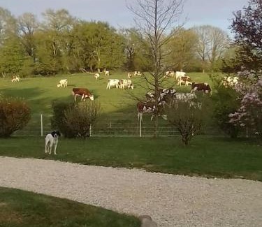 Marboz Casa | Dépendance pour 1 à 4 pers au calme dans propriété