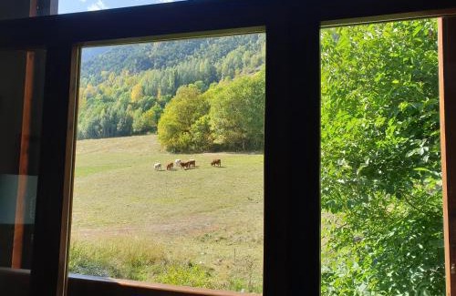 Areu Apartamento | Dúplex Àreu, Pallars