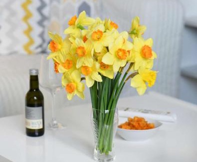 Wangerooge Apartamento | Dünenschlösschen Ferienwohnung 45