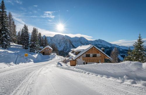 Haus Apartamento | d'Genussalm by Alpine Genusswelten