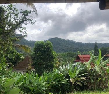 Sidemen Cabina | D'Janu Homestay