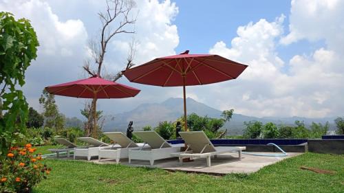 Kedisan Cama Y Desayuno | D’Taman cabin Kintamani