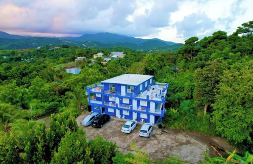Mata de Platano Apartamento | #D Tropical Rainforest Retreat Ocean View w/hottub