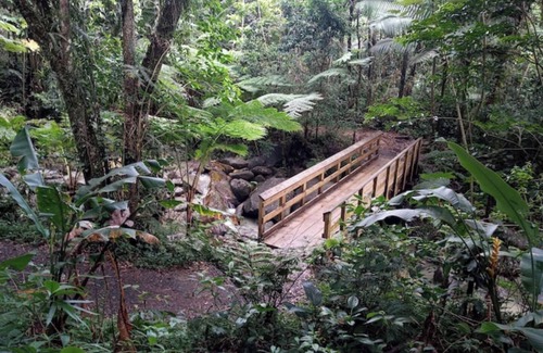 Mata de Platano Apartamento | #D Tropical Rainforest Retreat Ocean View w/hottub