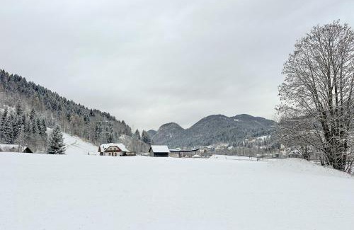 Camporosso in Valcanale Apartamento | Da Frida Casa Vacanze Tarvisio