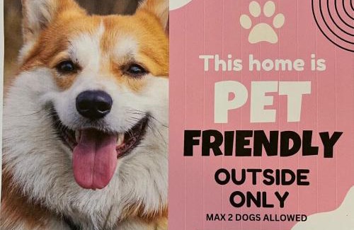 Waterhouse Casa | Da Ja Surf - Pet Friendly