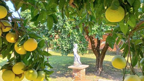 Scafati Apartamento | Da Ninnilla Holiday Home Scafati