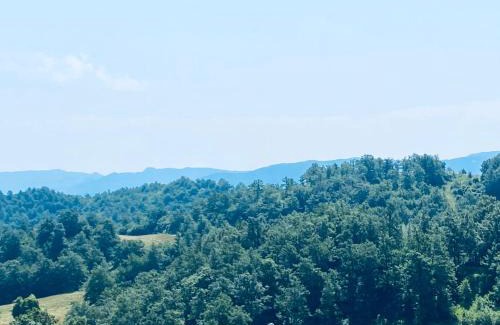 Pieve Santo Stefano Apartamento | Da Santina 23