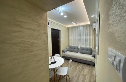 Dorcol Apartamento | Daca 2